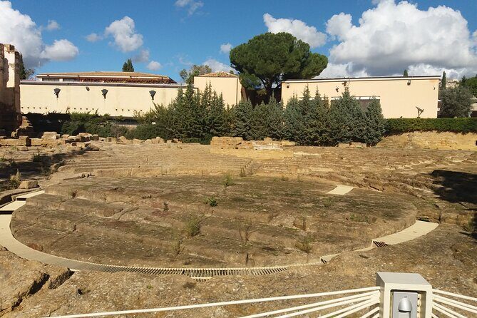 Agrigento and Piazza Armerina day tour - Pickup in Catania: what to expect and what to prepare