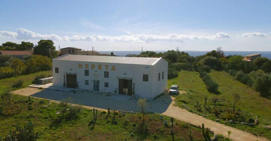 CASA NEPETA: Botanical Walk, Amari Production, and Tasting - The Botanical Walk: Nepitella, Marjoram, and Wild Thyme
