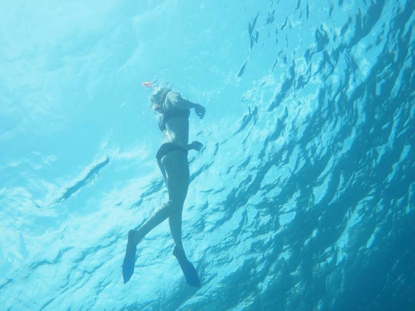 Catania, Isole Ciclopi: Snorkeling Trip - The Isole Ciclopi protected marine area: sea life you can actually spot