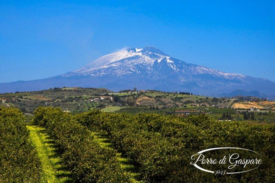 Catania: Pozzo di Gaspare Farm Guided Tour with Tastings - The hand-dug well: an 18th-century water project still in use