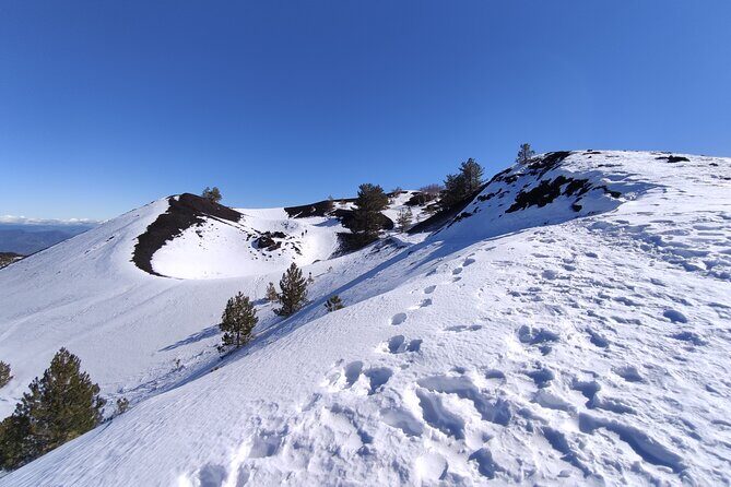 Etna and Alcantara Gorges Excursion - Your Etna Lunch Break: Local Food That’s Actually Part of the Day