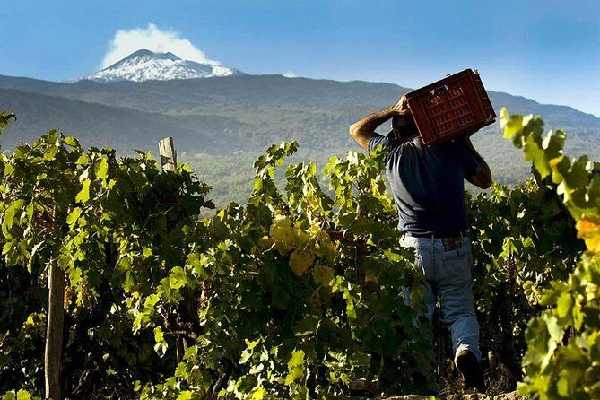 Etna Private tour from Messina Cruise Terminal + Lunch at Winery - Port-Day Pickup From Messina: Comfort, Timing, and the Long Drive