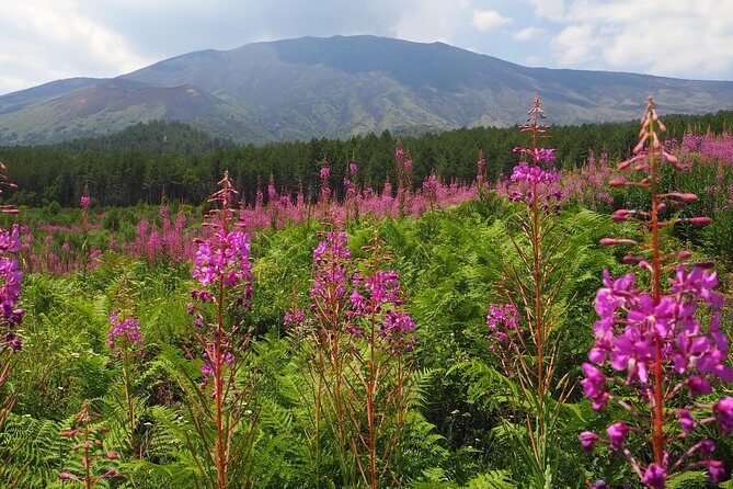 Etna Tour in 4x4 - What to pack: shoes, warmth, and water (don’t guess)