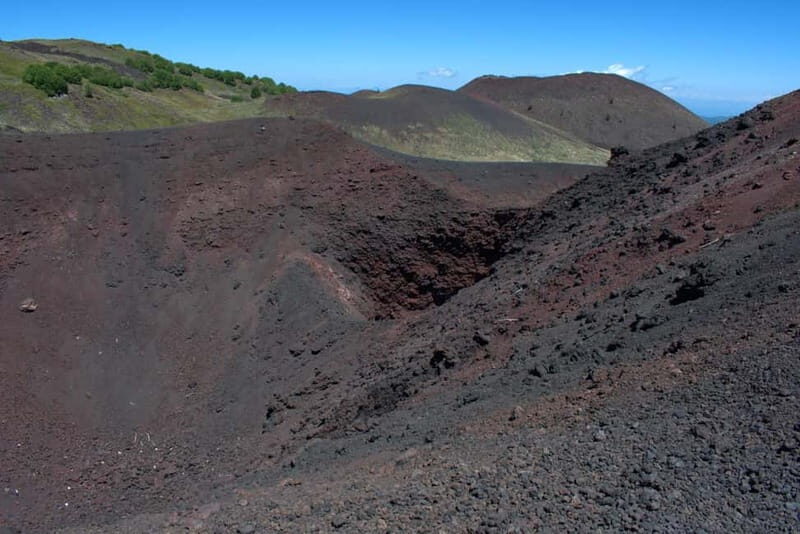 ETNA VOLCANO: Excursion to the Craters of 2002 - Birches on Etna: when the hike turns into quieter nature time