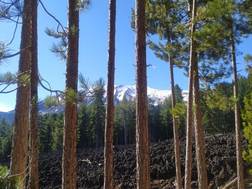 Etna walking tour, visit of a lava tunnel, Arancino tasting - Pickup in Taormina and the 1,900-Meter Rise