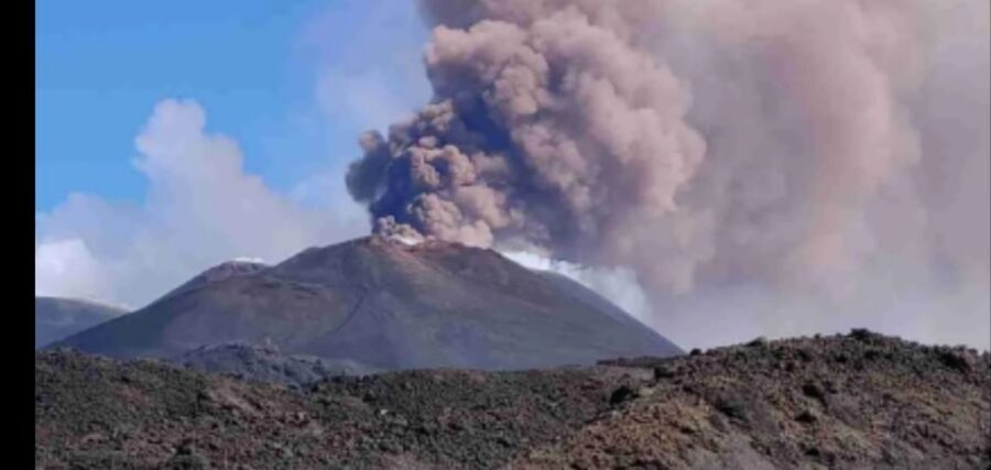 From Catania, Acireale, Giarre: Mount Etna Half-Day Trip - Honey tasting and local products: Etna’s gold, done in a real-world way