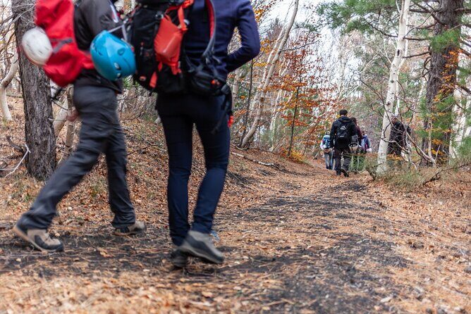 From Catania: Private mt. Etna trekking and pic-nic - Trekking Through Parco dell’Etna Trails for 5 Hours