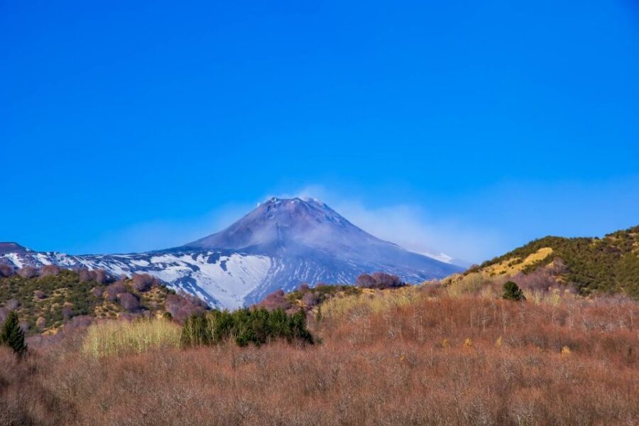 From Catania/Taormina: Mount Etna Private Wine Tasting Tour - Price and Value: What $457.34 Per Group Actually Buys