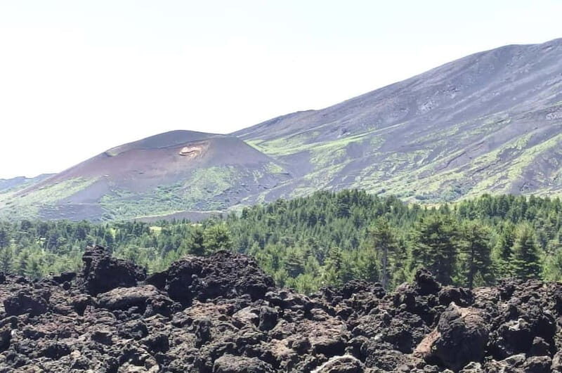 From Taormina: Etna Walking Tour and Wine Tasting in Winery - The Lava-Flow Walk: What You’ll Actually Do for About 1.5 Hours
