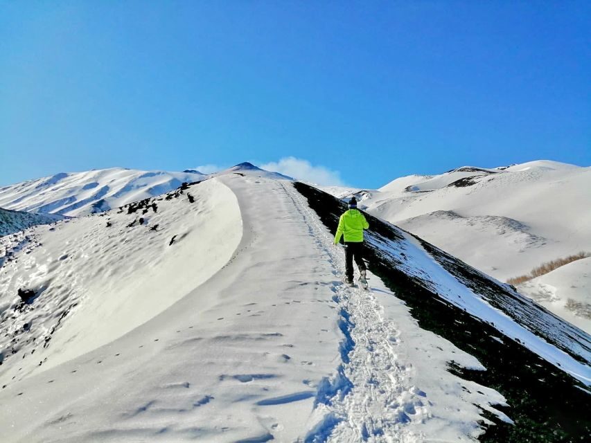 Piano Provenzana: Guided Mt. Etna Snowshoeing Trek - Key things I’d watch for before you go