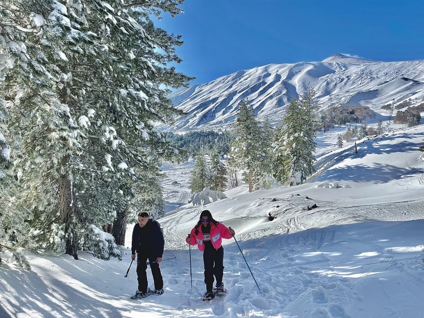 Piano Provenzana: Guided Mt. Etna Snowshoeing Trek - Entering Piano Provenzana: why the setting matters