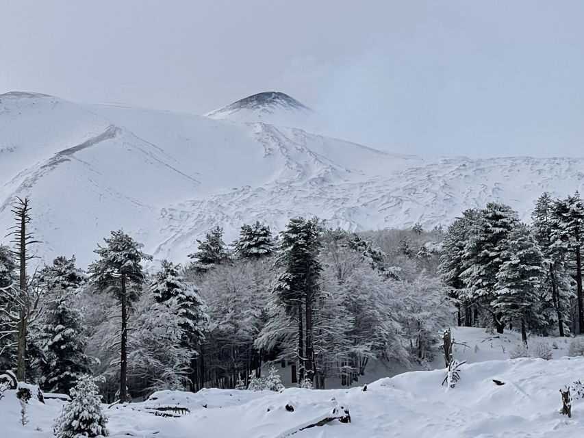Piano Provenzana: Guided Mt. Etna Snowshoeing Trek - The big crater zone: reaching the old Piano Provenzana destruction area