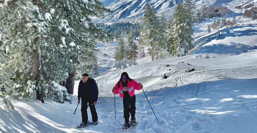 Piano Provenzana: Guided Mt. Etna Snowshoeing Trek - Meeting at Etna Nord: getting yourself positioned for a smooth start