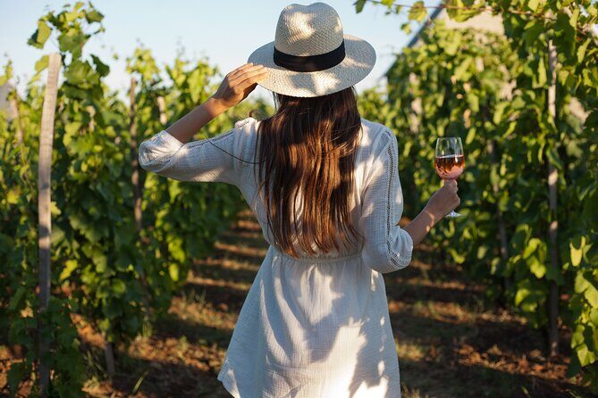Tour Etna & Wine Tasting - Key highlights to know before you go
