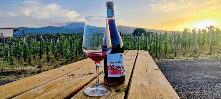 Wine tour with wine tasting - Who this tour is best for