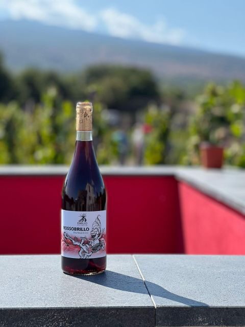 Wine tour with wine tasting - The old palmento stop: why this feels like the heart of Etna wine