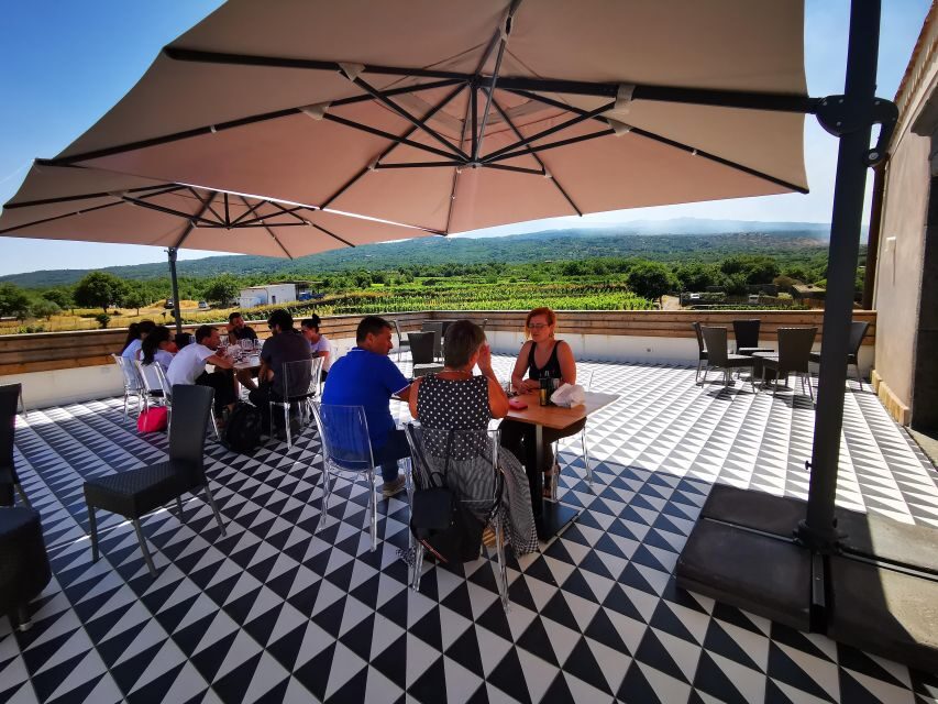 Wine tour with wine tasting - The technical tasting of 4 Etna wines (with bread and olive oil)
