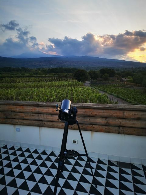 Wine tour with wine tasting - Timing and pacing: 11:30 am vs 3:45 pm
